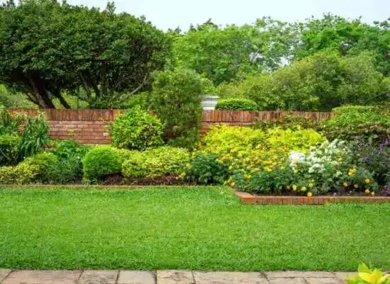 landscaping services Bel Air North